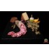 Salame Sale Pepe senza aglio - 800 gr